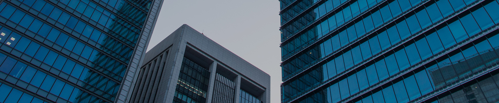 Cina Shenzhen Xiaohongbao Technology Co., Ltd. Profil Perusahaan 